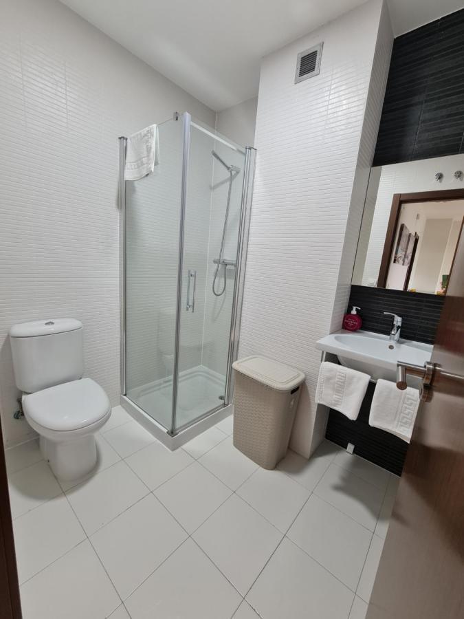 Atico De Lujo En El Centro De Burgos Apartment Bagian luar foto